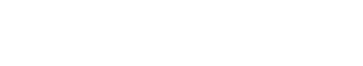 Multi-Brand Retail